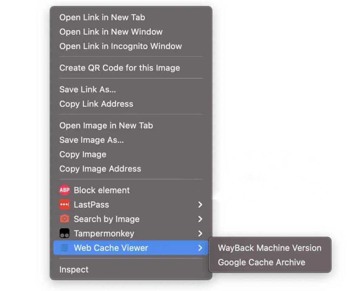 Google 页面快照/网页缓存查看器-Web Cache Viewer